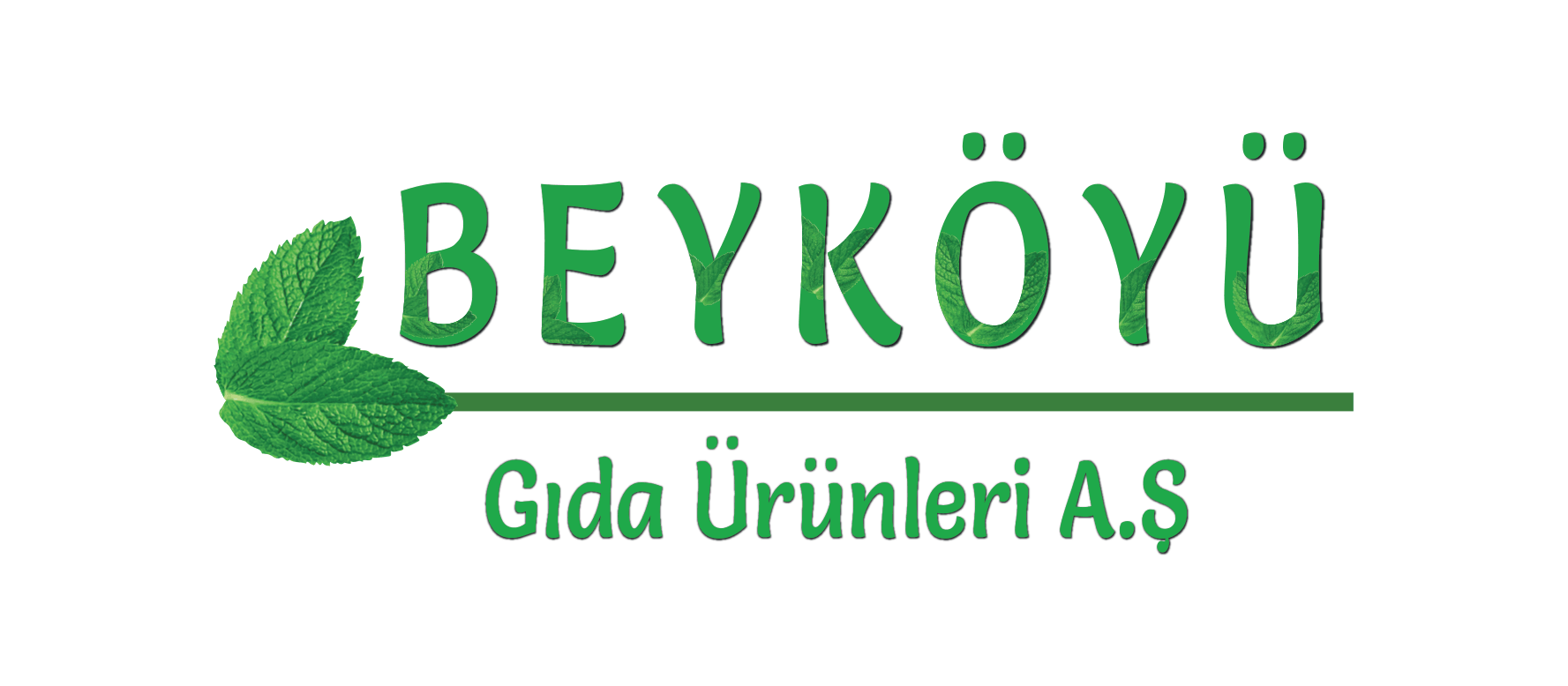 Beyköyü Logo